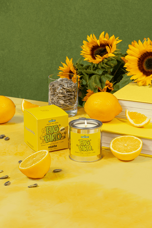 Bougie Parfumée Big Bird | Mandarine, Tournesol - Mon Univers Cuisine