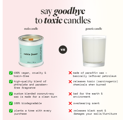 Bougie Parfumée Cabin Fever | Cyprès, Conifère et Mousse - Mon Univers Cuisine